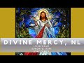 Divine Mercy NL The Thirty-Third Sunday in Ordinary Time November 16, 2025