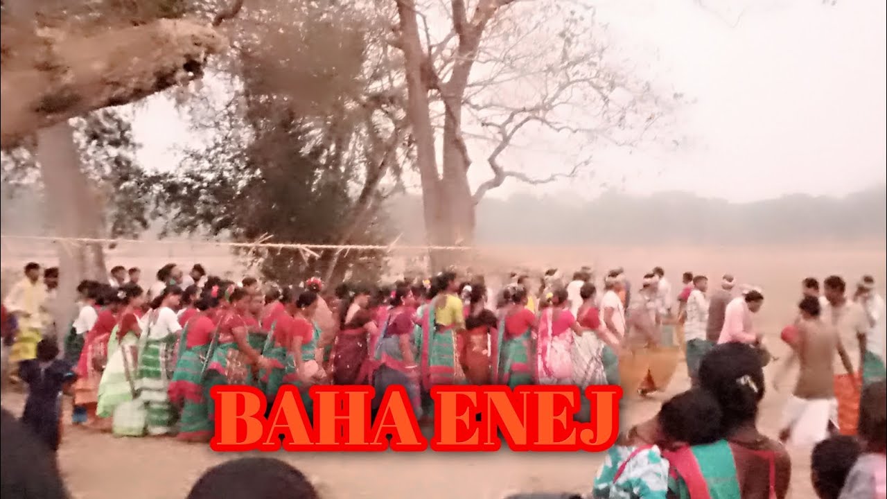 BAHA BONGA ENEJ SANTALI VIDEO 