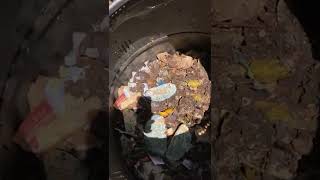 Onsite Composting Addition #16 to the Earth Machine Composter (June 18th, 2022)
