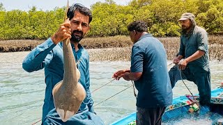  Bottom Fishing video in Mangroves | Khahi Fishing Adventure 2026