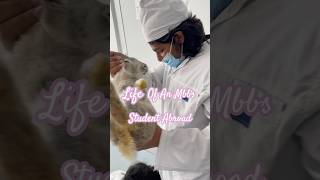 Life Of An Mbbs Student Abroad. Medical Student In Uzbekistan