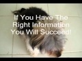 Dog Trainers in Kansas City - Do It Yourself and SAVE! Dog Trainers in Kansas City - Do It Yourself and SAVE!