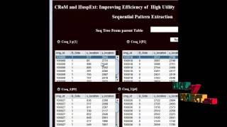 CRoM and HuspExt: Improving Efﬁciency of High Utility Sequential Pattern Extraction