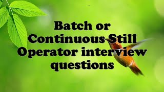 Batch or Continuous Still Operator interview questions