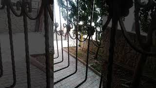 Ben Fero Buldum Şarkıyı Koyuruyom Ben Severim Resimi