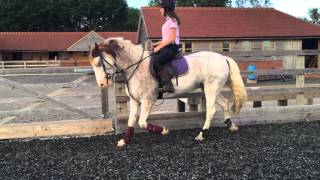 Flatwork raw