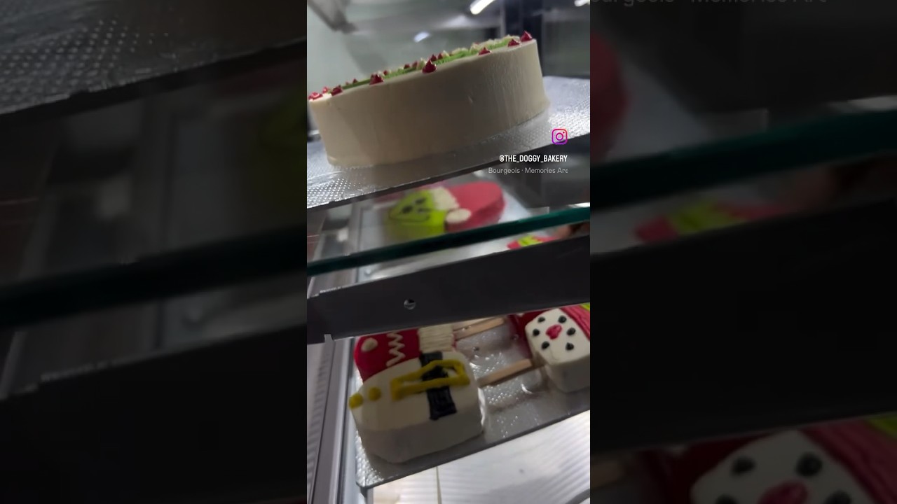 Throwing it back to Christmas goodies at the dog bakery! 