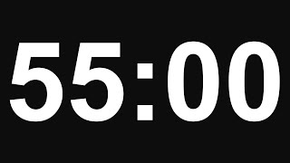 55 Minute Timer - No Alarm - 8K