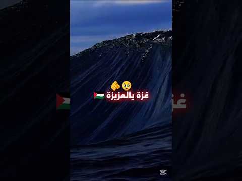 غزة دائما في قلوبنا غزة  40   الحراقة