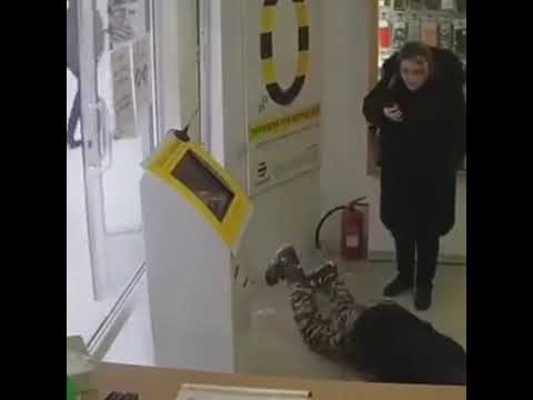 Что у вас здесь происходит 😂 #прикол #билайн #старыймем #animals