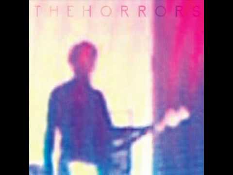 The Horrors - You Could Never Tell (with lyrics)