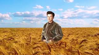 Rick Astley is just a chill guy