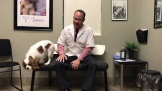 Dr. Marc Bordelon: How and when to induce vomiting in your pet.
