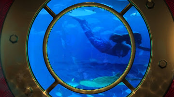 Extravagant wedding at the sea - Spectacular 360⁰ video mapping, Athens, Greece