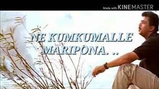 Nellori nerajana song lyrics from oke okkadu movie