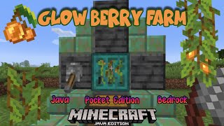 Glow Berry Farm | Minecraft 1.17 | SUPER EASY!