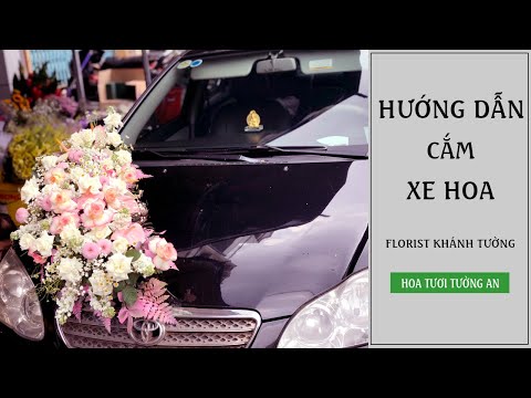 Video: Cách Sắp Xếp Tiền Chuộc Cô Dâu