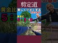 ㊗️3.7万回視聴：美しく小さくする剪定の基本【黄金比５：３：２】　　　　　　　　　　　　　　　　　　　　　　　 #剪定方法 #庭木の手入れ #庭木の管理 #庭木の剪定
