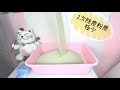 國際貓家HelloIchi 凝結小球貓砂10L*4入優惠組 product youtube thumbnail