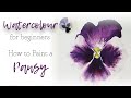 How to paint a Pansy flower in Watercolour - Watercolour for beginners