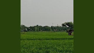 Hutang