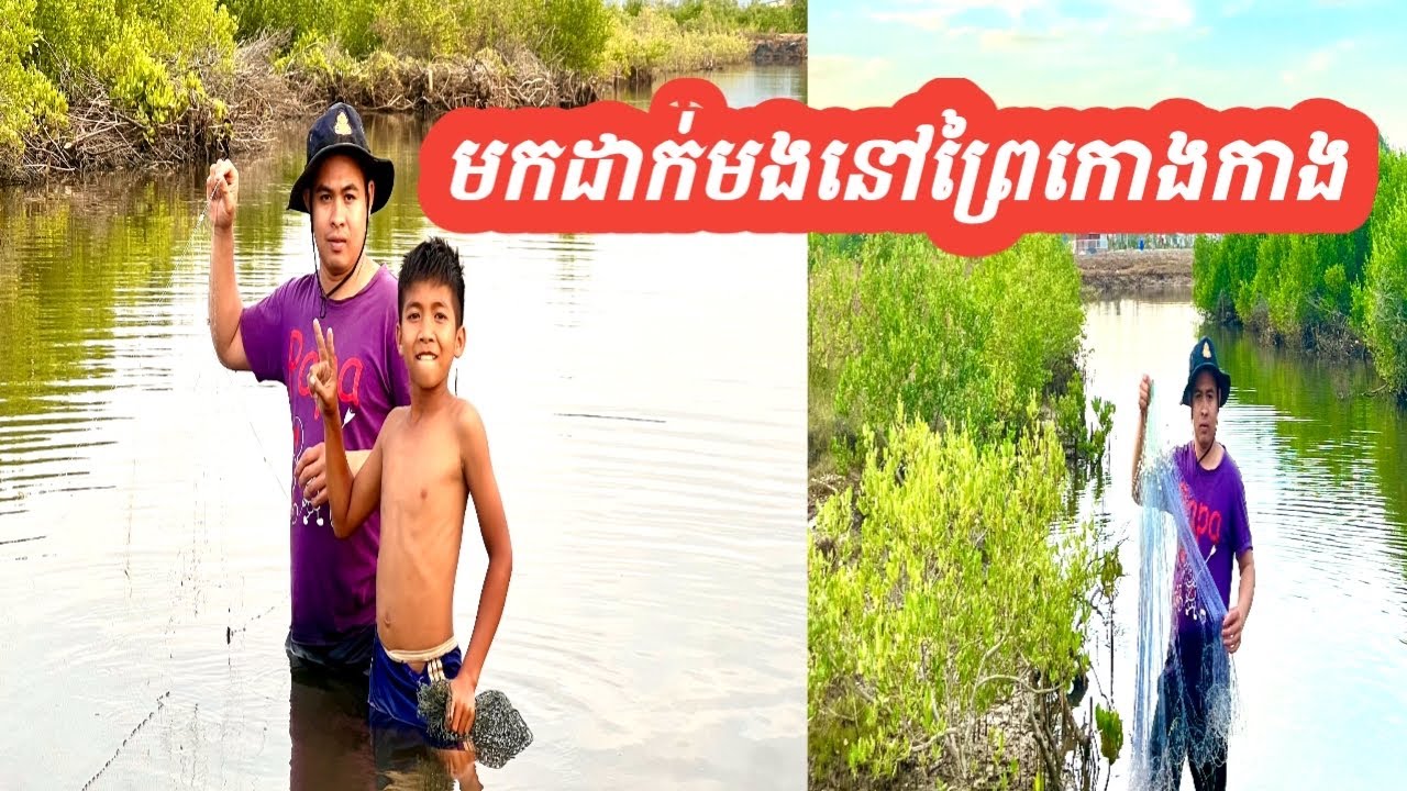 ដាក់មងនៅ ព្រៃកោងកាង / Set up a net in the mangrove forest/ 🐠🥰🌳