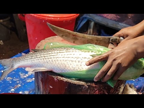 Hanif Fish @Hanif fish cutting channel is live! - YouTube