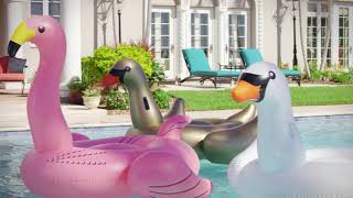 Pinch A Penny - South Winter Sale