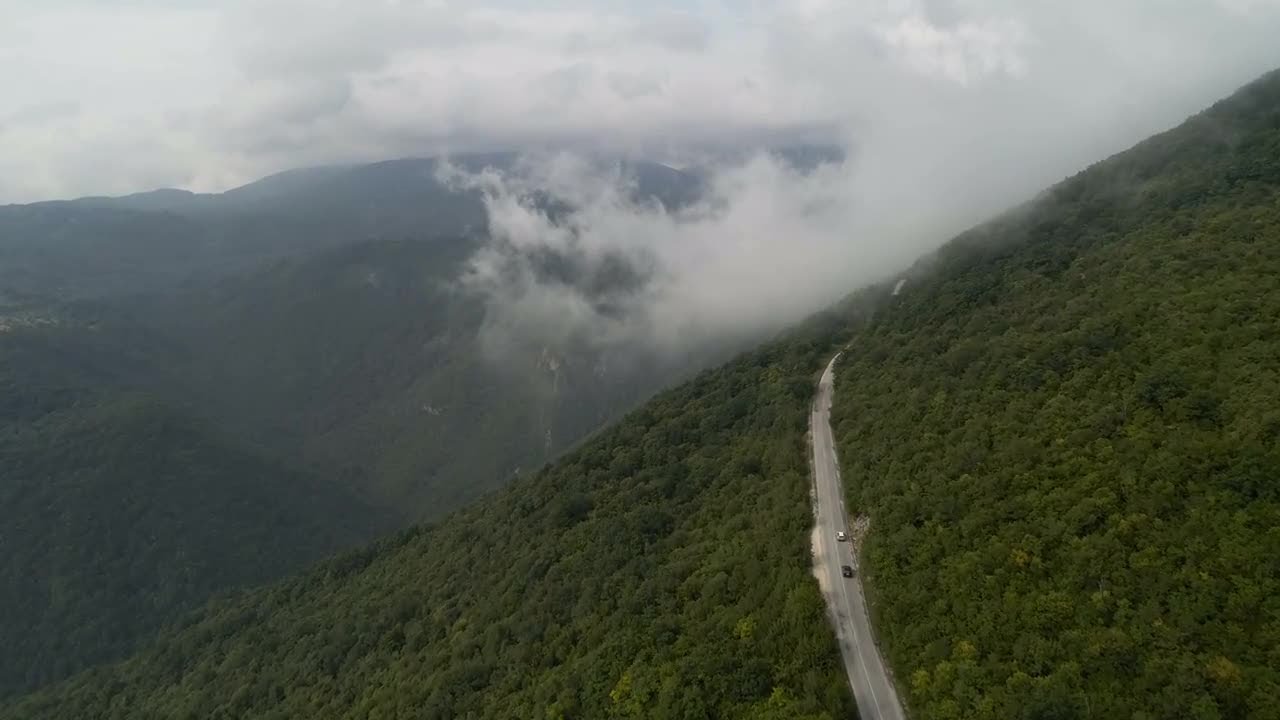 Aerial View Of Forest Road Stock Video