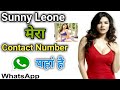 Sunny Leone whatshap number and Contact Number // Bollywood Star sunny Leone twitter account /leone