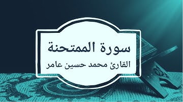 سورة الممتحنة | القارئ محمد حسين عامر