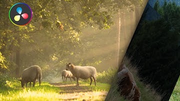 Page curl Transition l Davinci Resolve 19