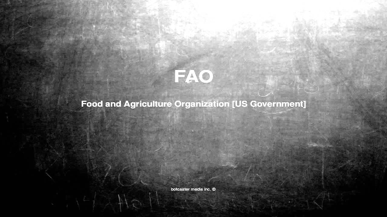 What Does FAO Mean YouTube What Does FAO Mean YouTube