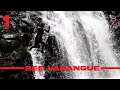 Off road  bee varangue une perle dans les bois