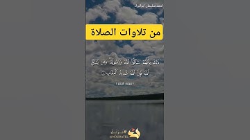 ومن يشاق الله فإن الله شديد العقاب #احمد_سليمان_ابوالبراء #راحة_نفسية #اكسبلور #تلاوة #explore