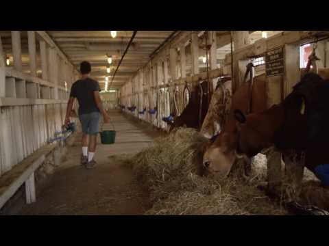 Xerxes Libsch, Brower Youth Awards 2016