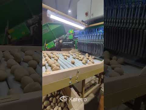 Sorting seed potatoes with Karevo Duo85