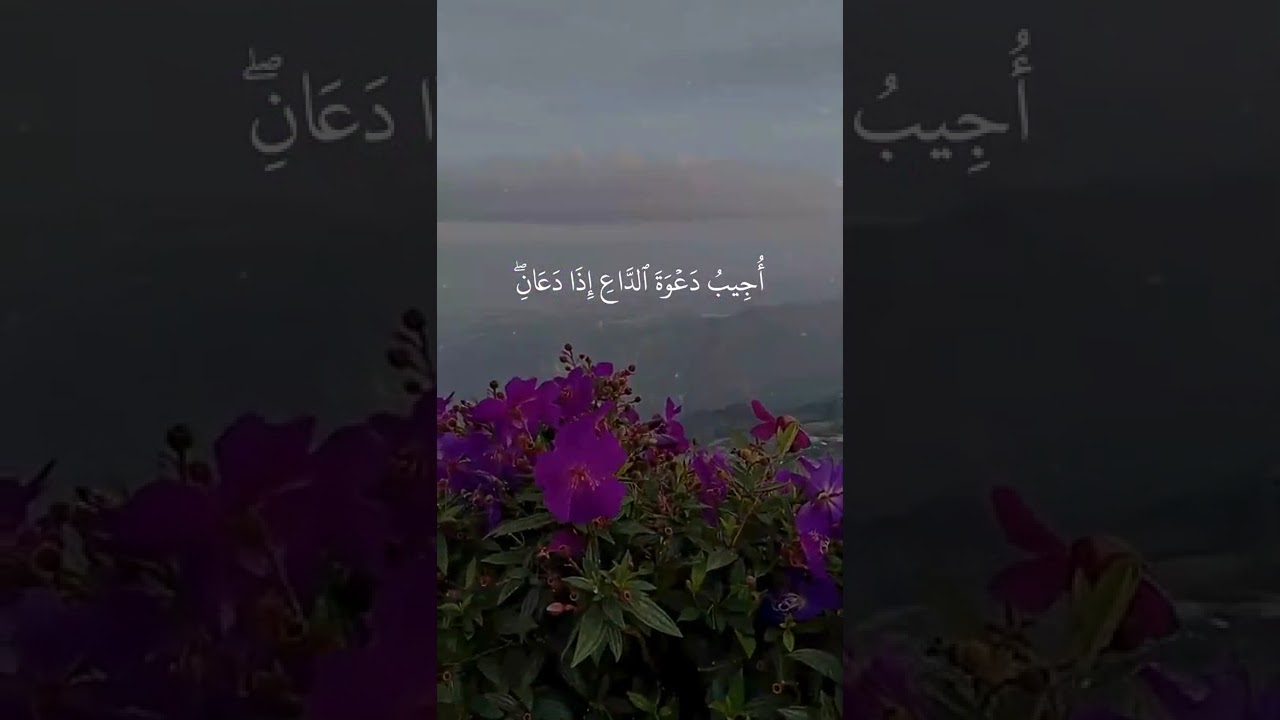 وَإِذَا سَأَلَكَ عِبَادِي عَنِّي تلاوة خاشعة بصوت الشيخ عبد الباسط عبد الصمد