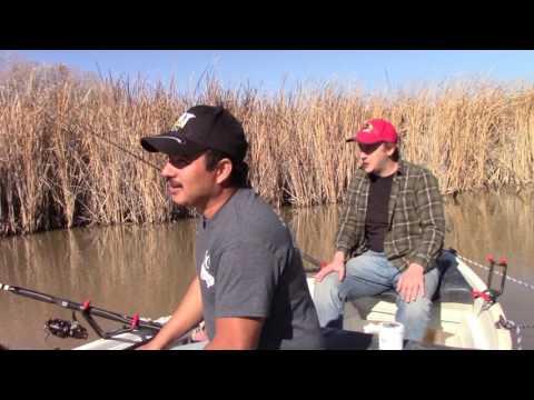 Blue Catfish Fishing - Trinity River from YouTube · High Definition · Duration: 10 minutes 26 seconds · 2,000+ views · uploaded on 11/23/2016 · uploaded by Pole Bender Blue Catfish Fishing - Trinity River from YouTube · High Definition · Duration: 10 minutes 26 seconds · 2,000+ views · uploaded on 11/23/2016 · uploaded by Pole Bender