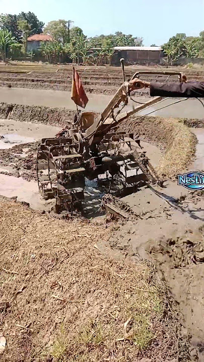Pindah lahan #shorts #shortvideo #shortsfeed #traktortangan #traktor #sawah #quick #pertanian