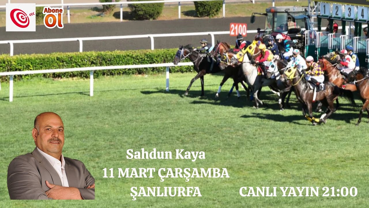11 Mart 2026 Çarşamba Şanlıurfa Koşu Yorumları