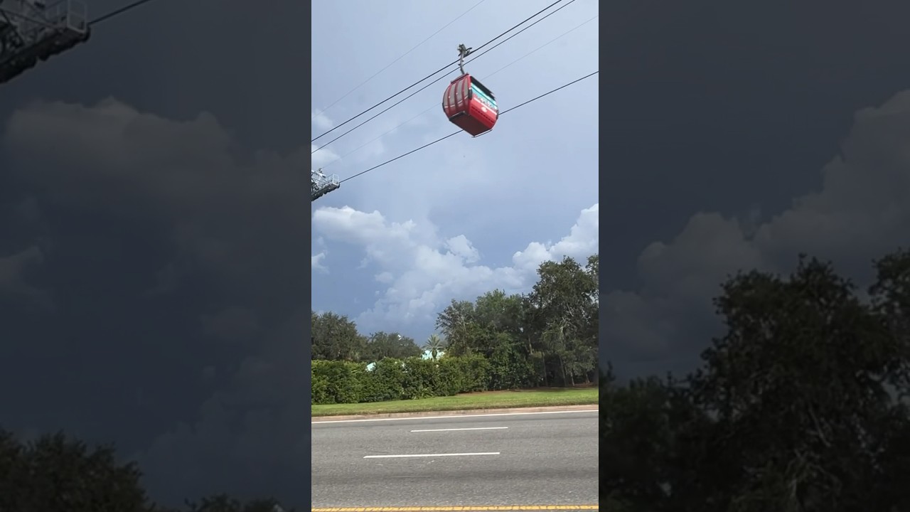 On the Disney bus because I’m terrified of the gondolas 🚠 😳