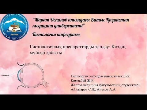 Бейне: Мүйізді қабықты трансплантациялау дегеніміз не?