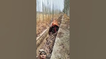 Cách Người nước ngoài đốt lá cây như thế này sẽ không sợ cháy lan