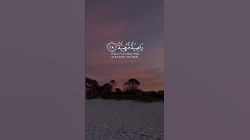 القارئ خالد الجليل ((سورة الفجر))