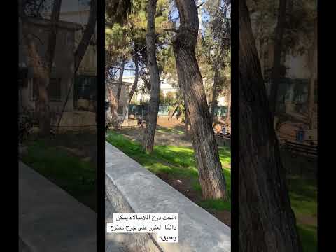 فلينا وباقي بعينينا أشواق وحكي
