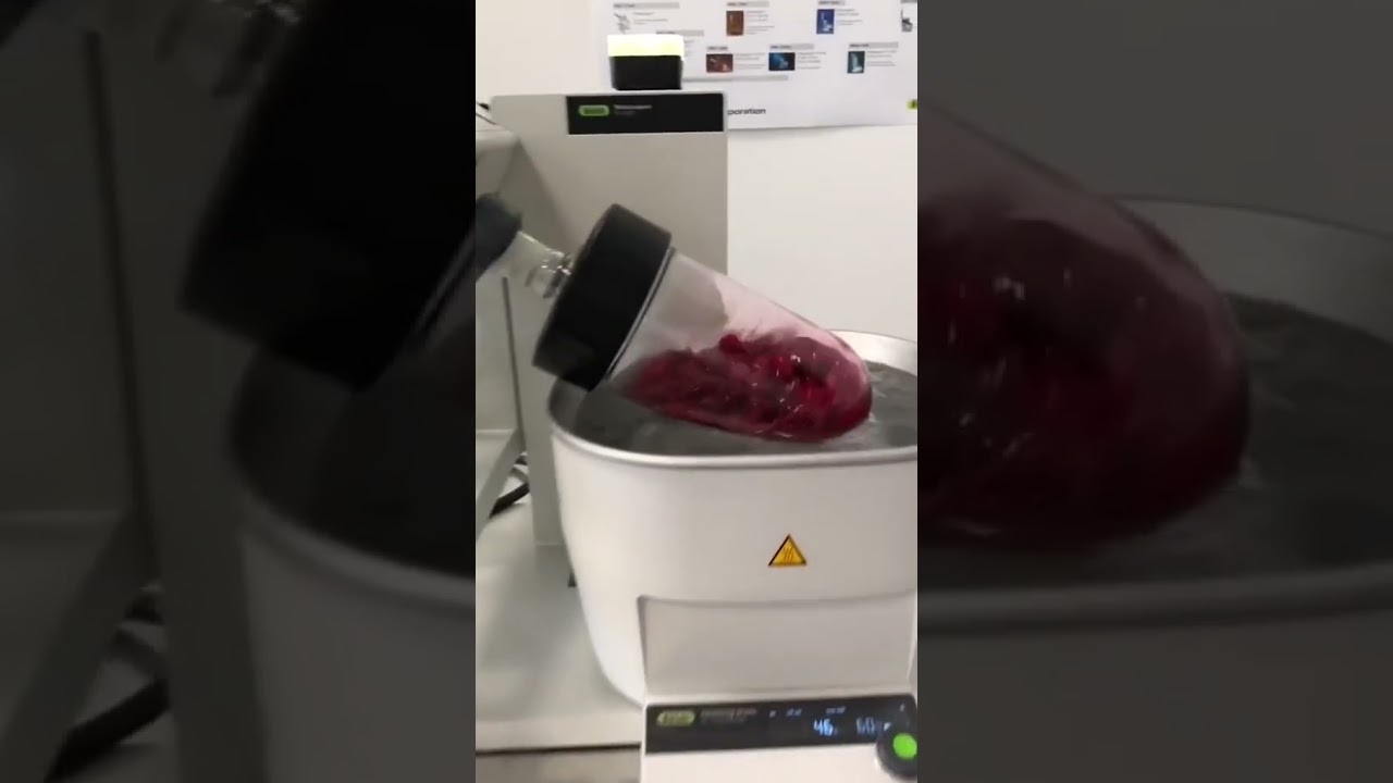 The ultimate convenience and versatility of the Rotavapor® R-300 in rotary evaporation! 🌪️💧 