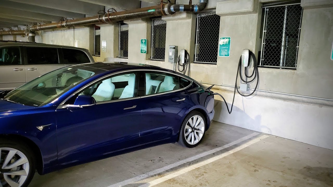Tesla travel владивосток
