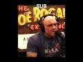 #podcast #jrefunnymoments #motivation #interview #jre #inspiration #joeroganpodcast
