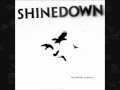 Shinedown sound of madness lyrics